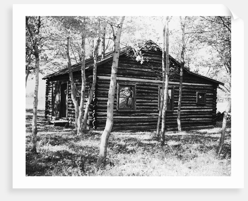 Exterior View of a Log Cabin by Anonymous