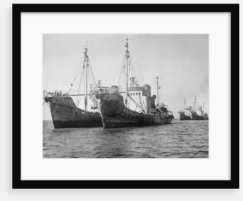 Onassis Whalers Seized by Anonymous