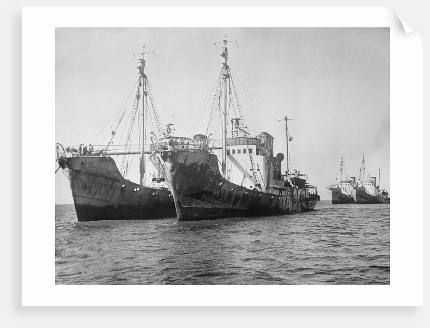 Onassis Whalers Seized by Anonymous