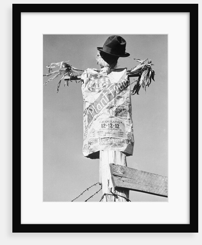 Scarecrow by Anonymous