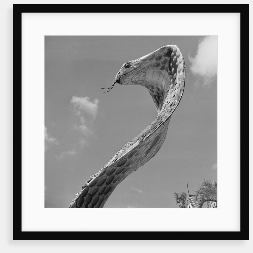 Giant Replica of King Cobra by Anonymous