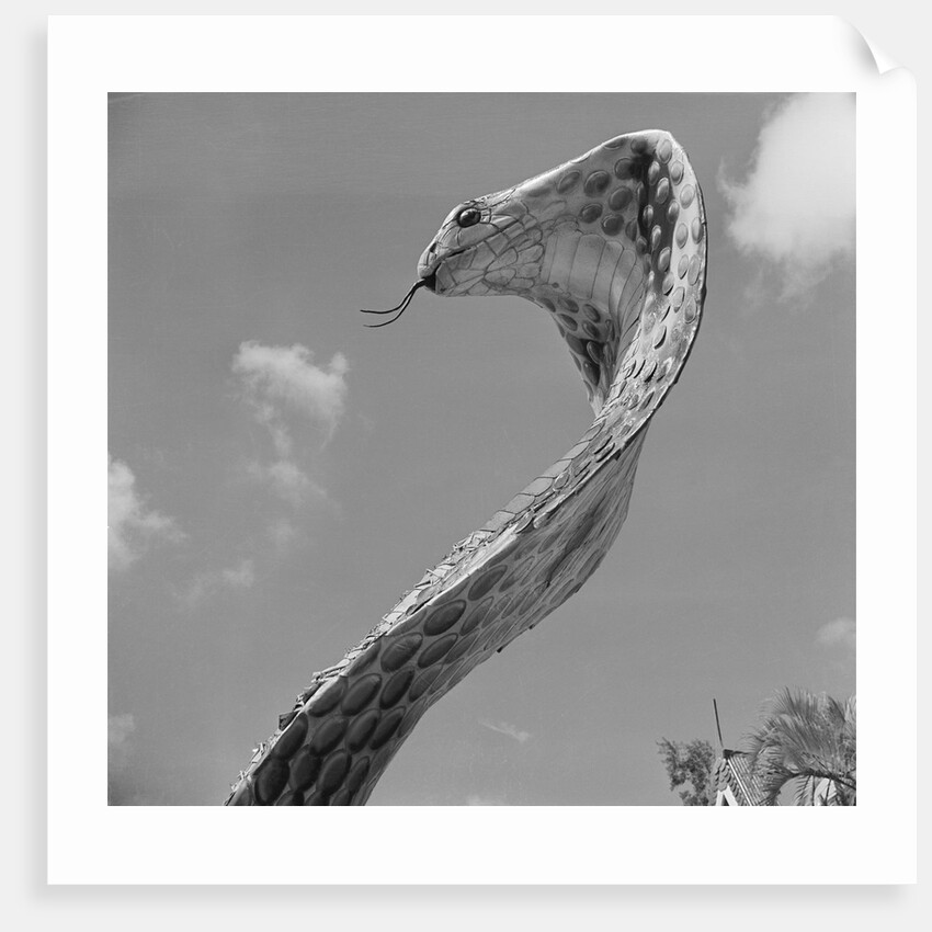 Giant Replica of King Cobra by Anonymous