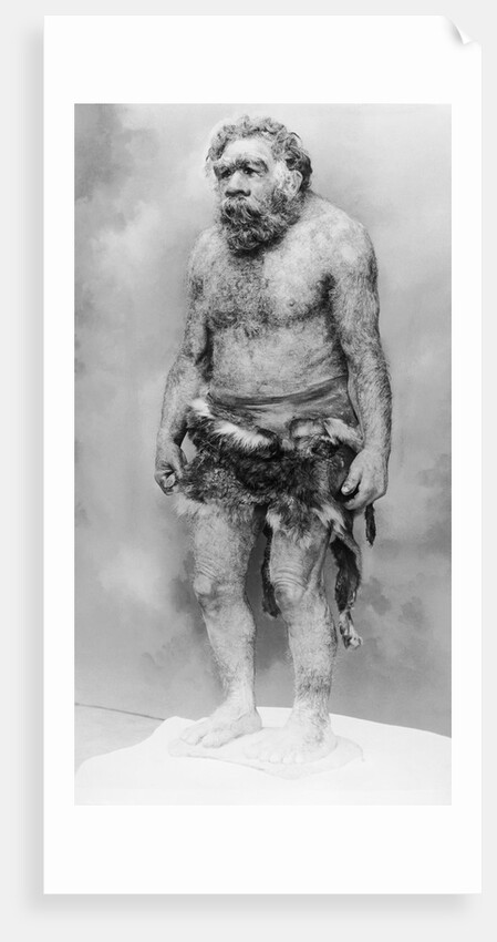 Cave Man by Anonymous