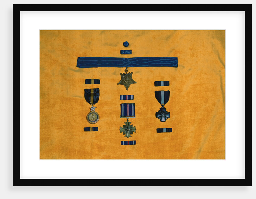 Navy Medals of Honor by Anonymous