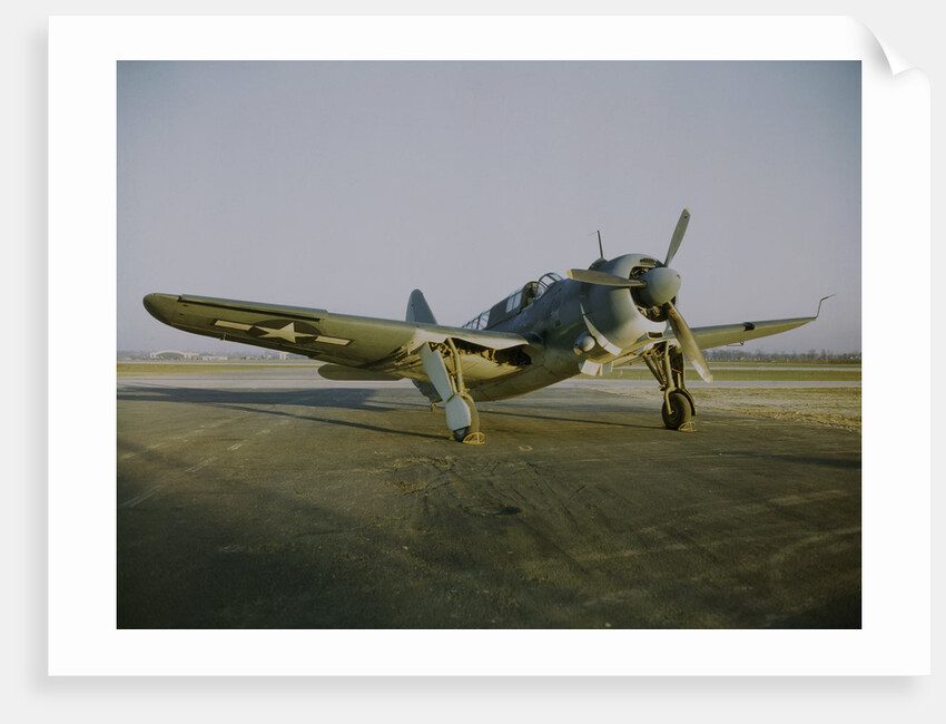 Navy Curtiss-Wright SB2C Helldiver on a Tarmac by Anonymous