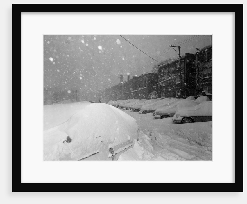 Snow Covered Cars and Snow Falling by Anonymous