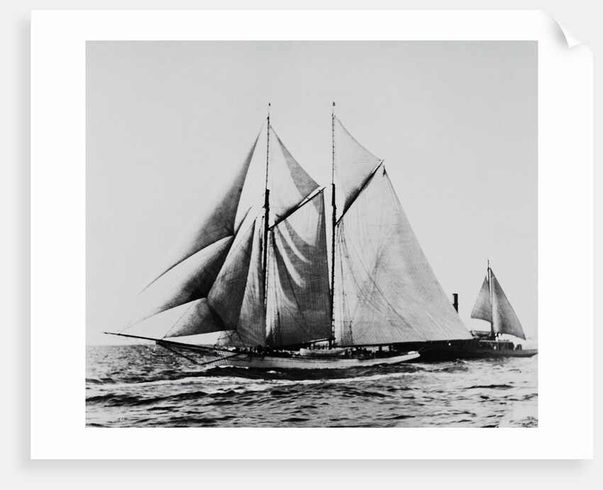 America Racing Yacht on the Sea by Anonymous