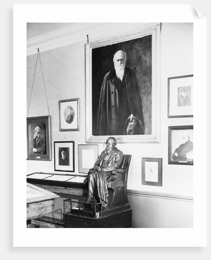 Statue and Painting of Charles Darwin by Anonymous