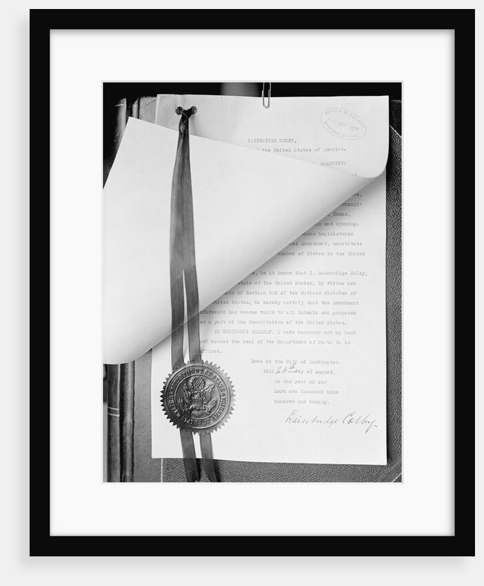 Official Proclamation of Ratification of Suffrage Amendment by Anonymous