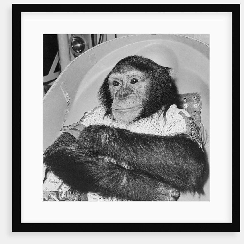 Space Travelling Monkey in Capsule by Anonymous