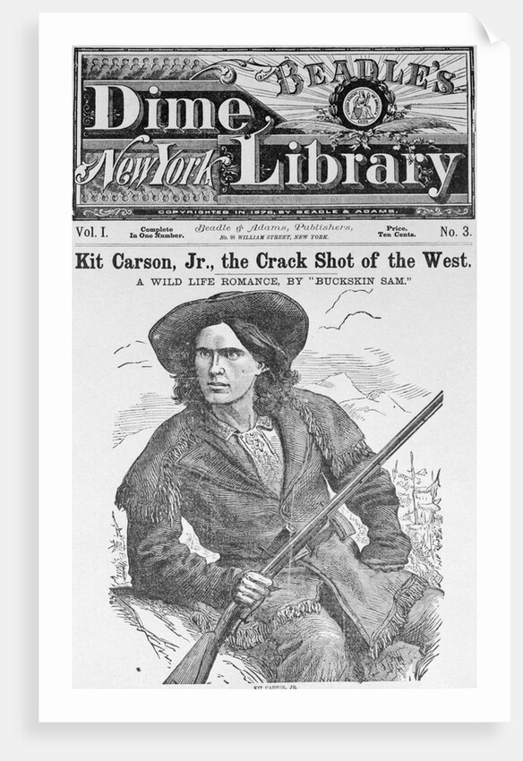 Cover of Beadle's Dime New York Library by Anonymous