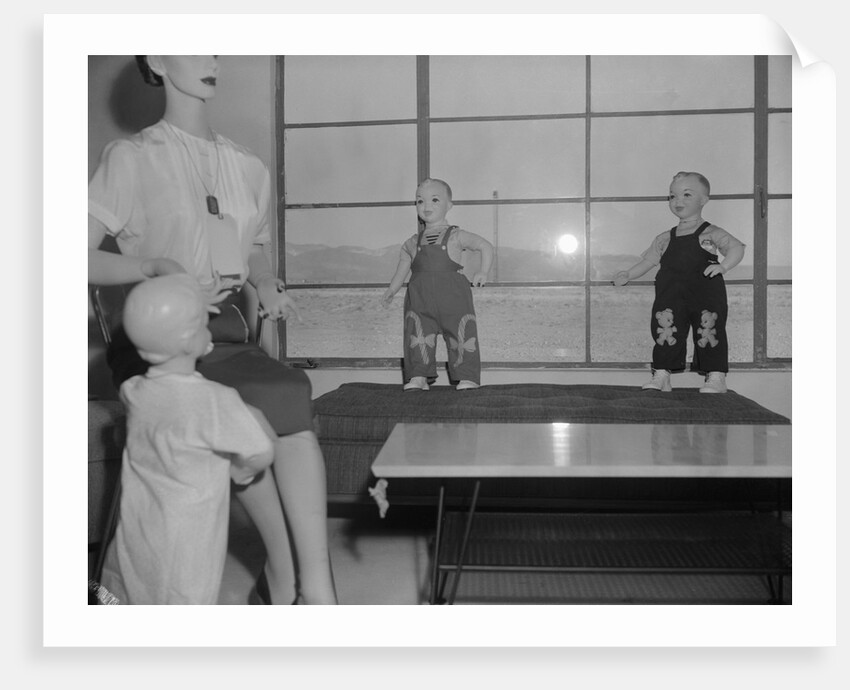 Test Dummies in Doom Town by Anonymous