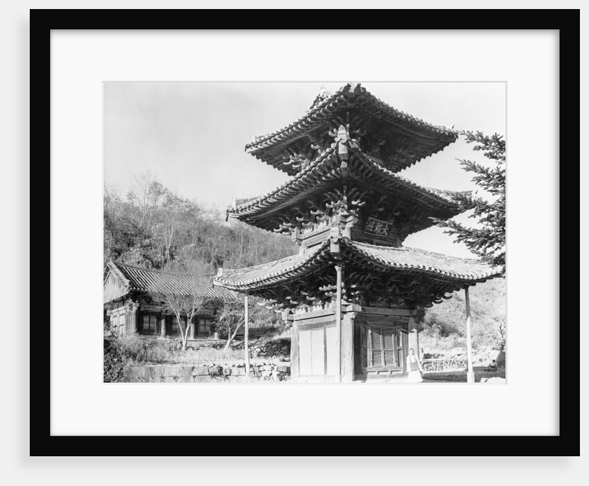 Great Buddha Hall by Anonymous