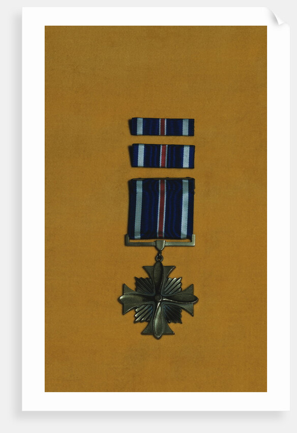 Distinguished Flying Cross by Anonymous