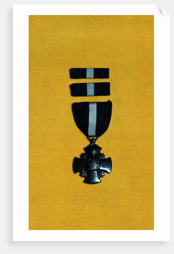 Navy Medal Display by Anonymous
