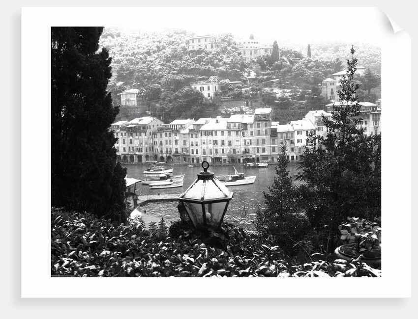 Italian Riviera by Anonymous
