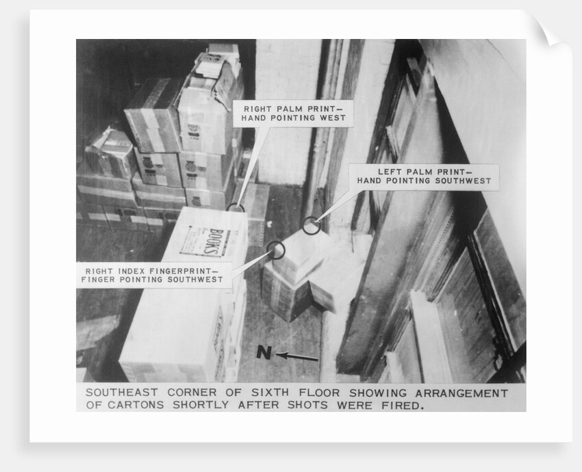 Texas School Book Depository After Assassination by Anonymous