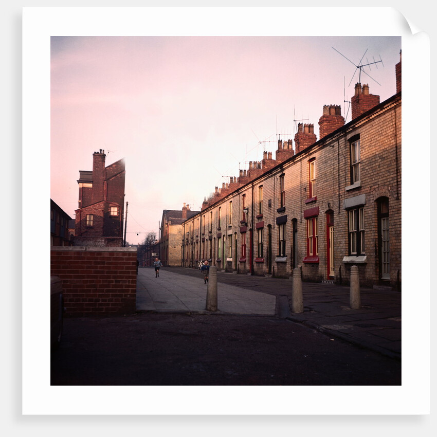 Admiral Grove by Anonymous