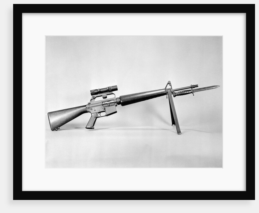 AR-15 Rifle by Anonymous