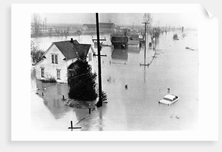 Snohomish River Floods on Christmas by Anonymous