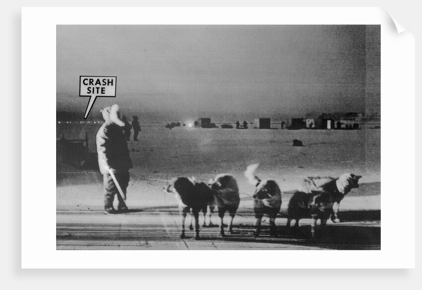 Man Standing with Eskimo Dogs by Anonymous