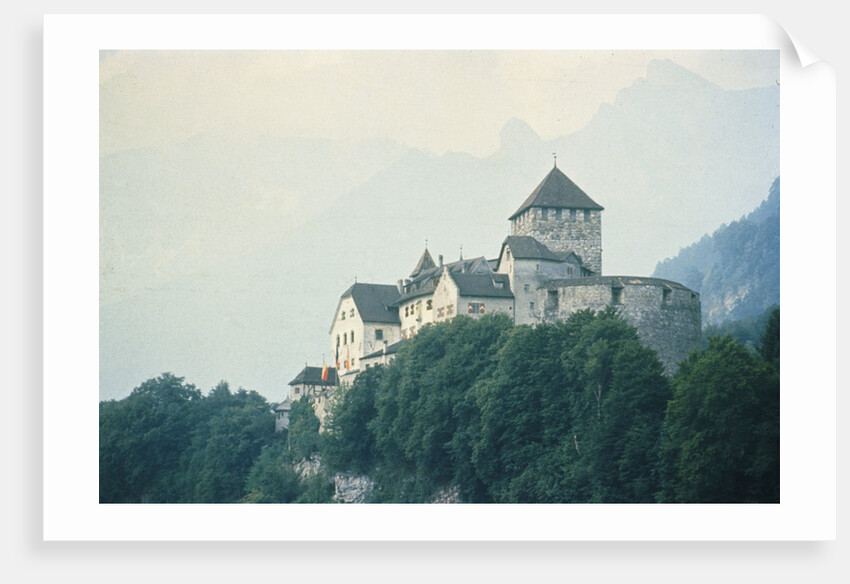 Liechtenstein Castle by Anonymous
