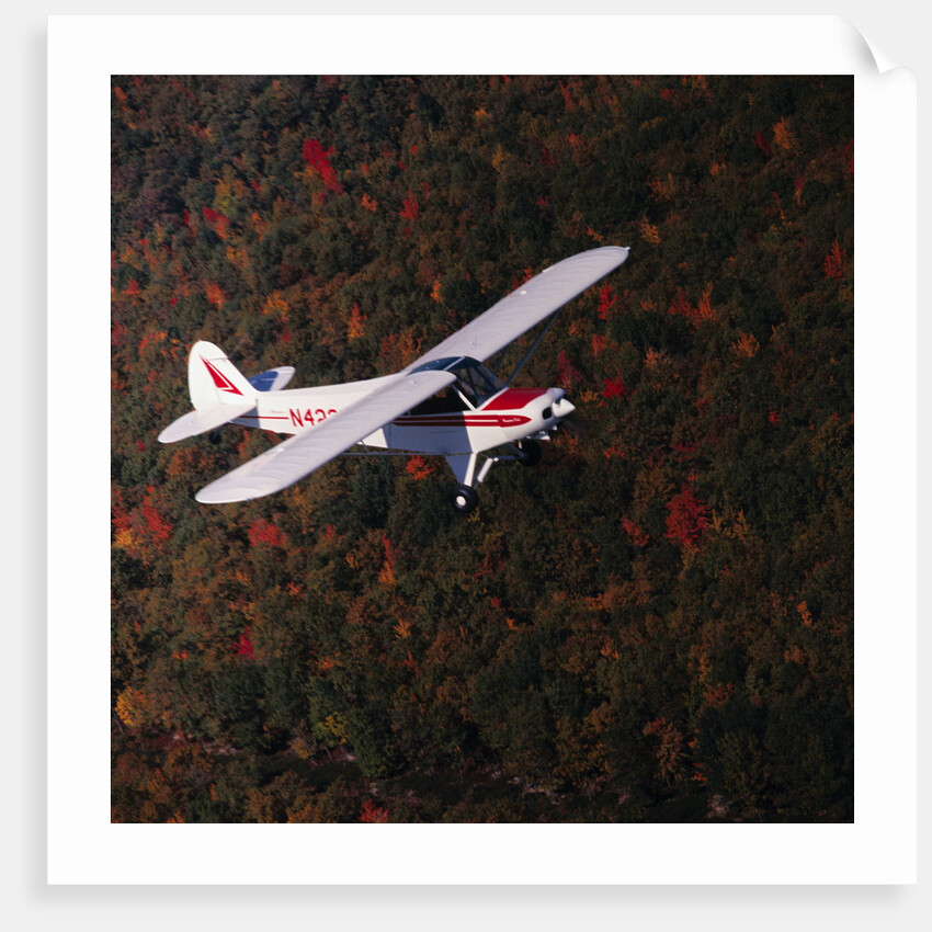 Super Cub Piper Plane by Anonymous