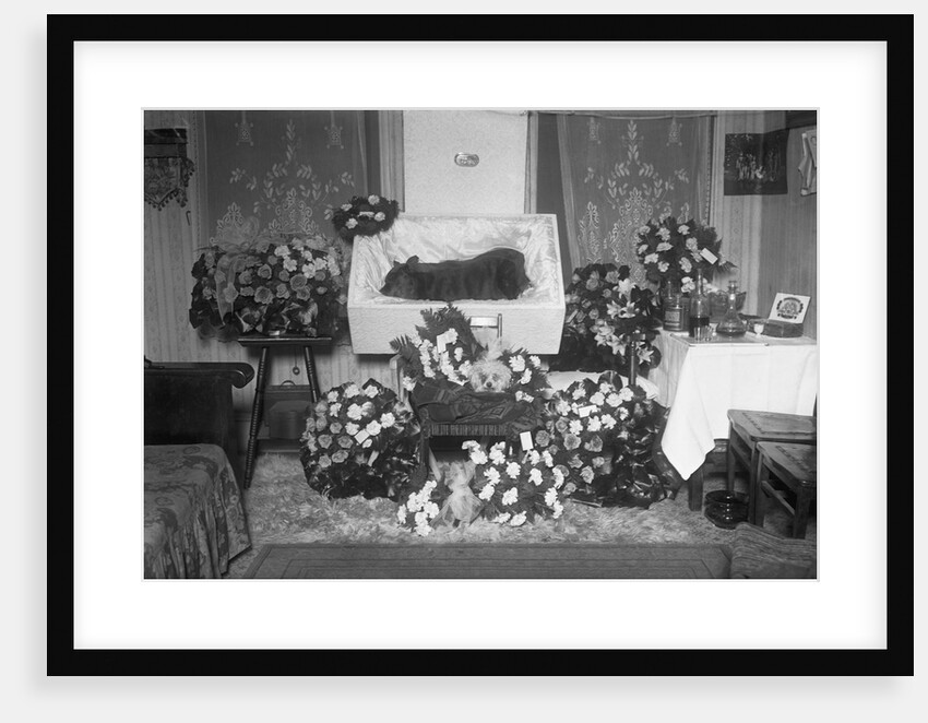 Funeral for Pet Bulldog by Anonymous