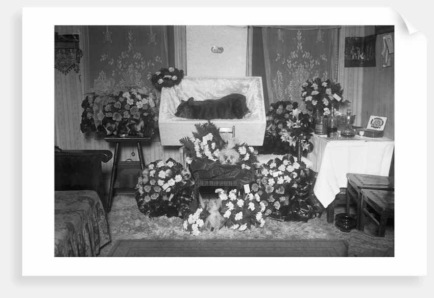 Funeral for Pet Bulldog by Anonymous