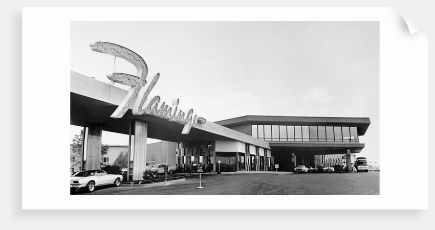 Front View of Flamingo Hotel by Anonymous