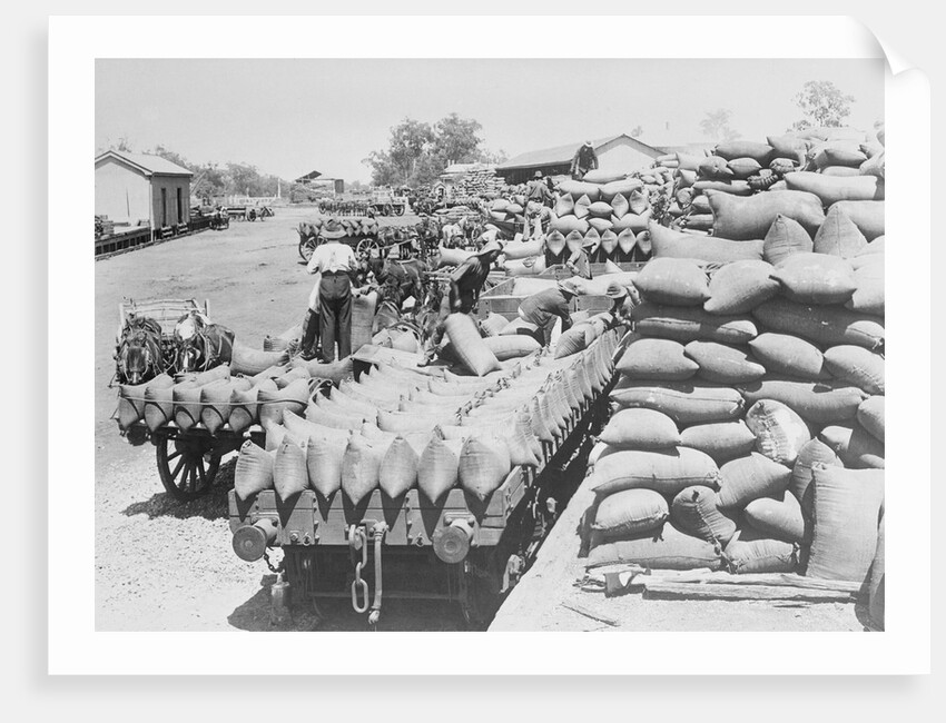 Loading Wheat by Anonymous