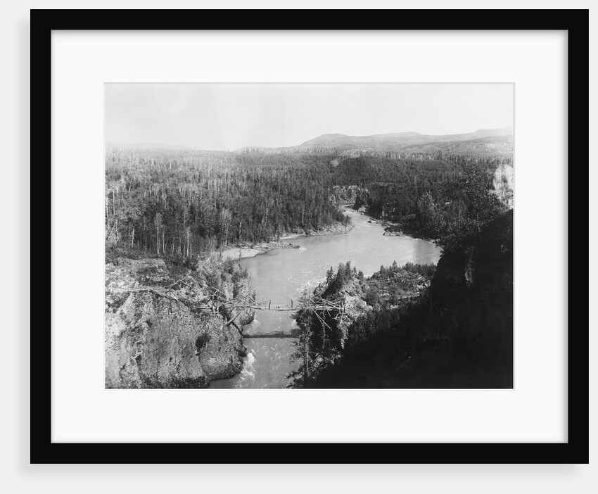 Bridge in British Columbia by Anonymous