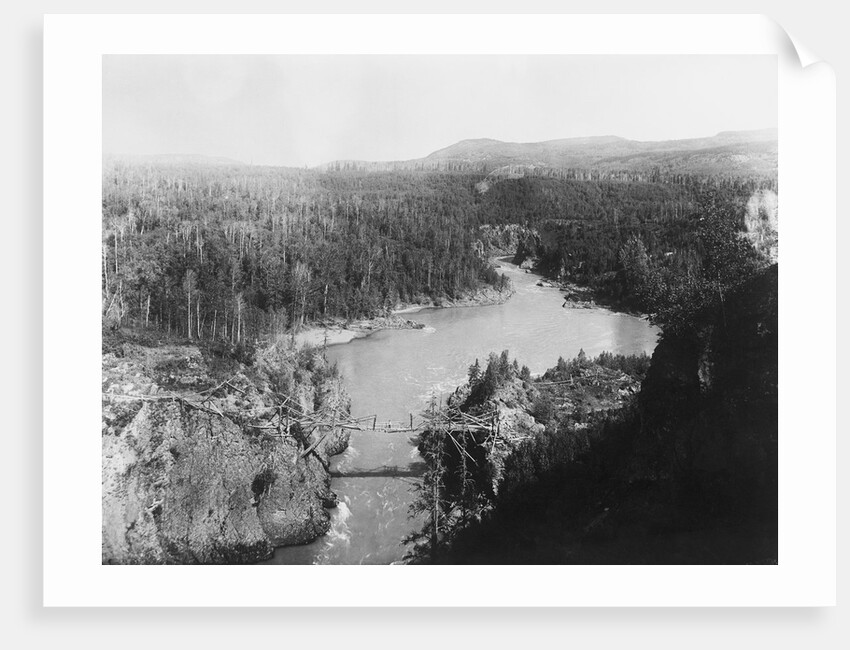 Bridge in British Columbia by Anonymous