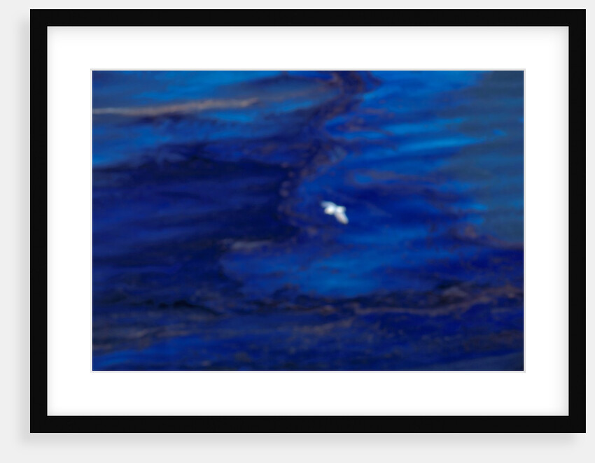 Oil Slick from Tanker Collision by Anonymous