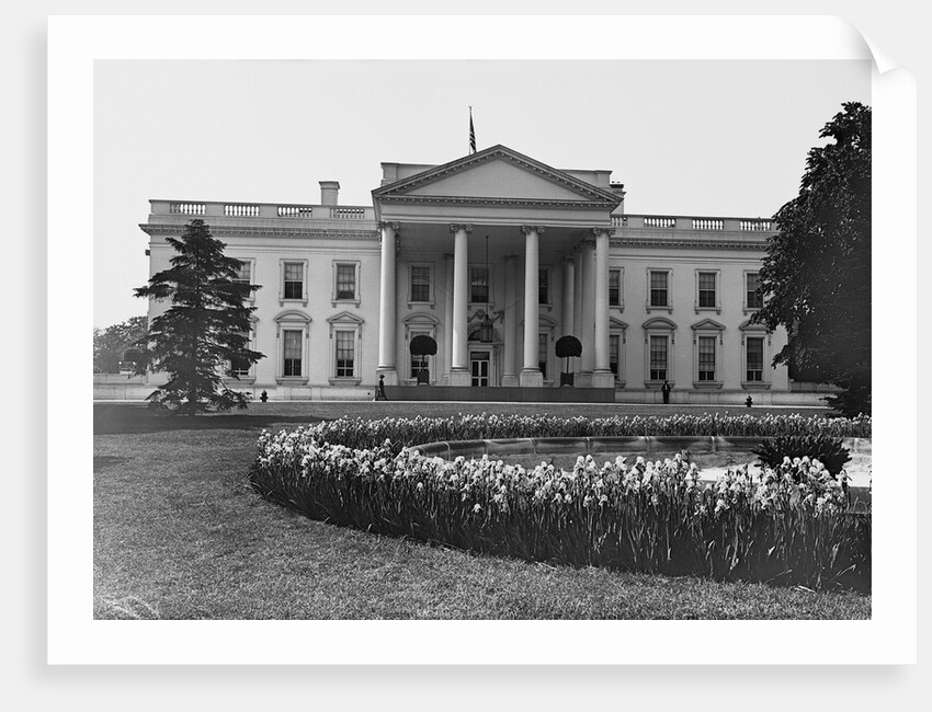 White House And Iris Garden by Anonymous
