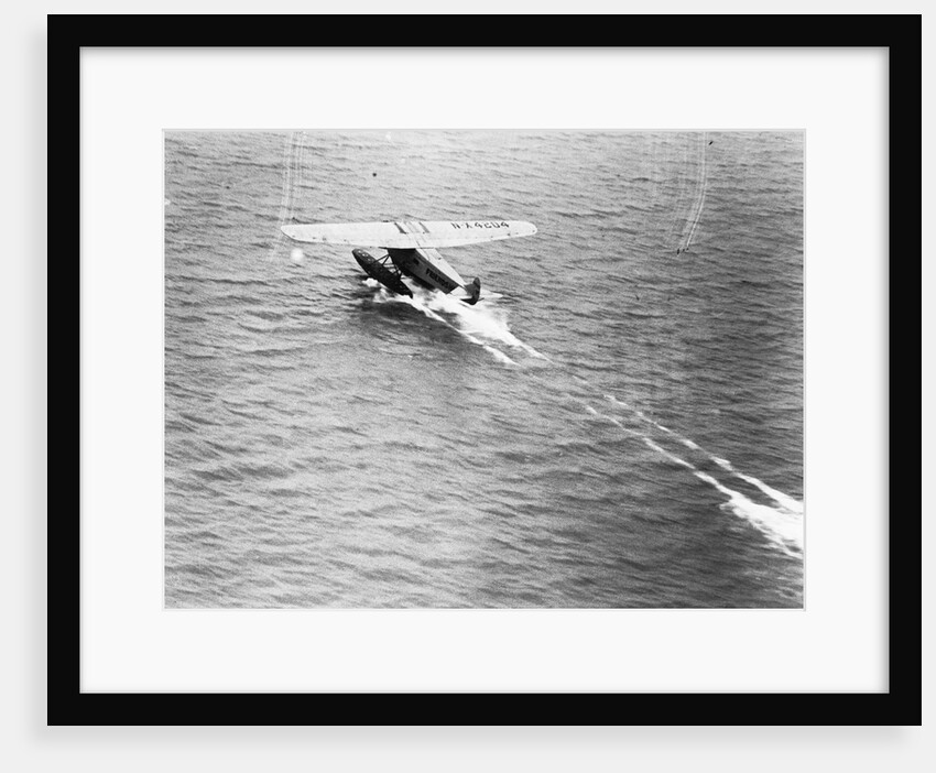 Friendship Taking Off by Anonymous