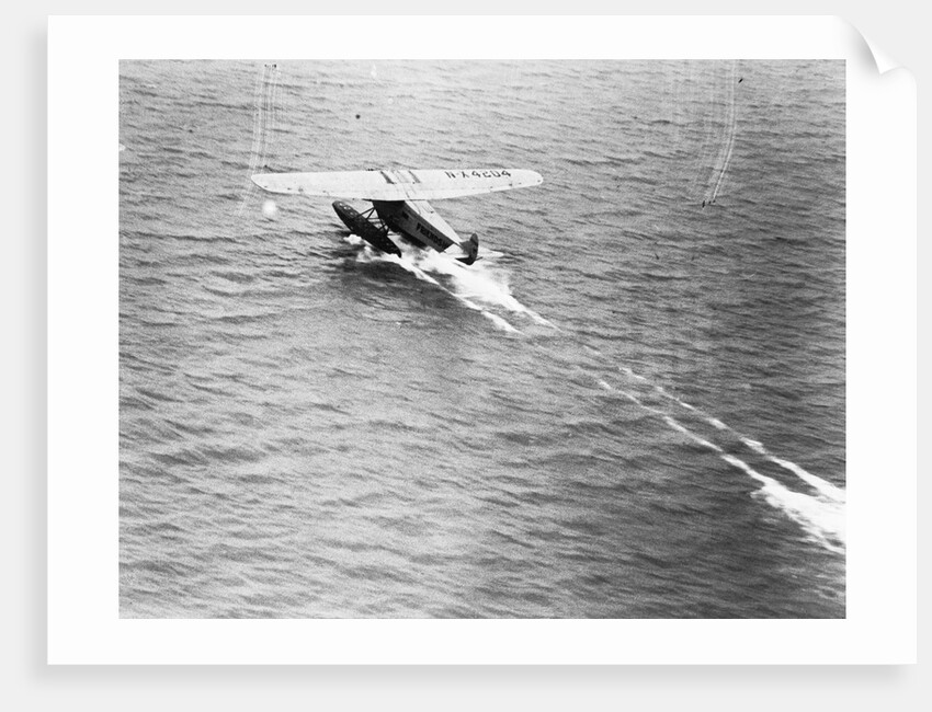 Friendship Taking Off by Anonymous