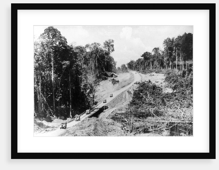 Trans Amazon Highway by Anonymous