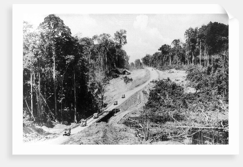 Trans Amazon Highway by Anonymous