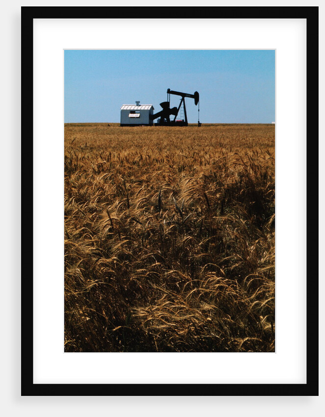 Crops Ready for Harvest by Anonymous