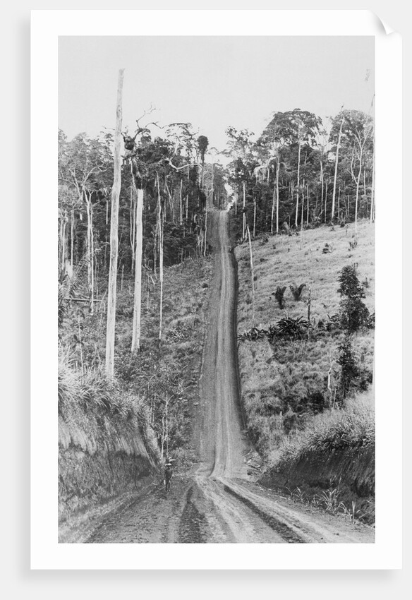 Trans-Amazon Highway by Anonymous