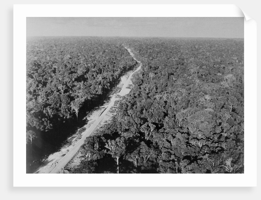 Trans Amazon Highway by Anonymous
