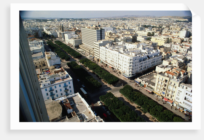 Tunis City by Anonymous
