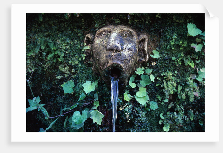 Fountain at Villa Este by Anonymous
