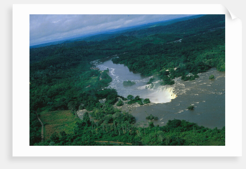 River and Forest by Anonymous