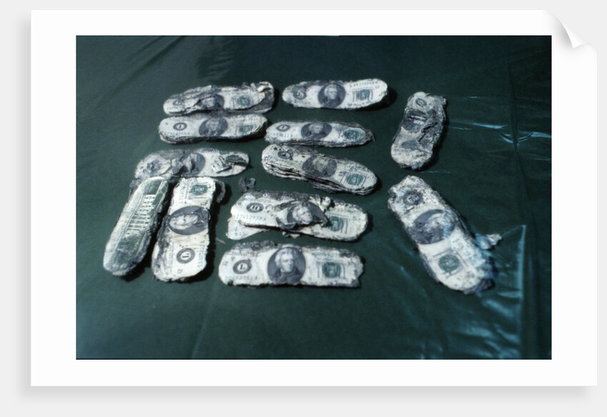 Hijacker D. B. Cooper's Monies Found by Anonymous