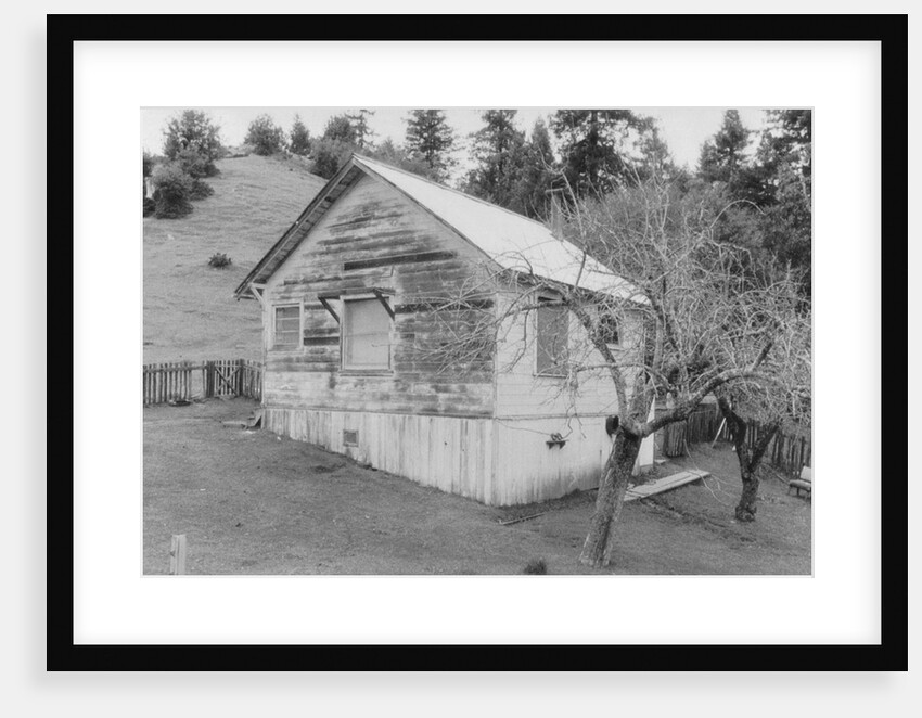 Kidnapper's Cabin by Anonymous