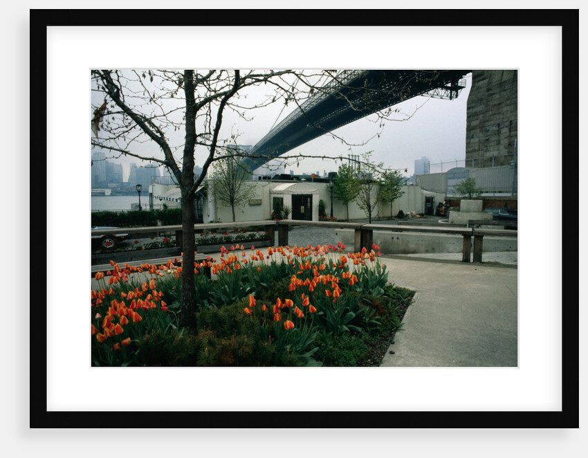Brooklyn's River Cafe by Anonymous