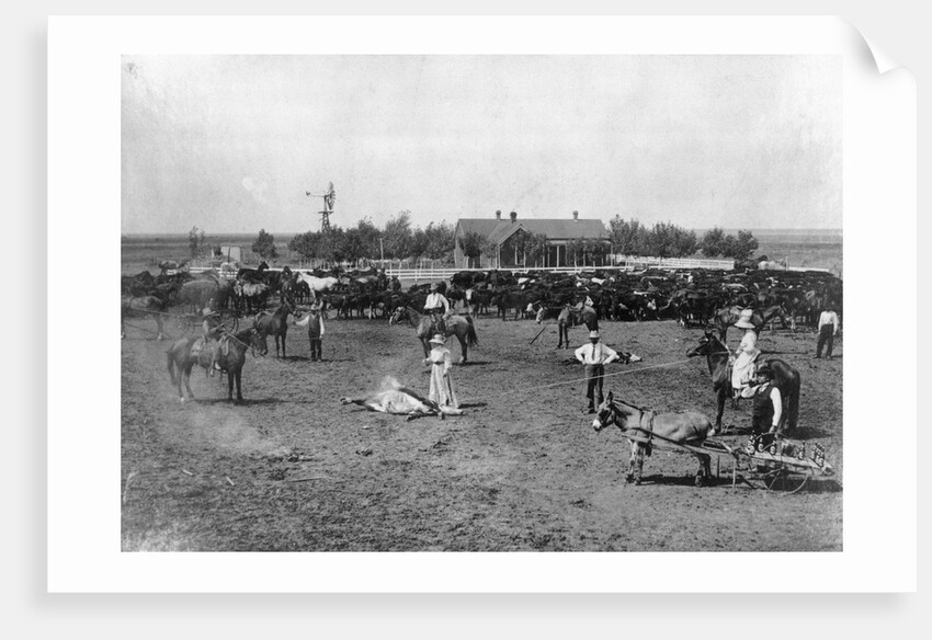 Women Branding Cattle by Anonymous