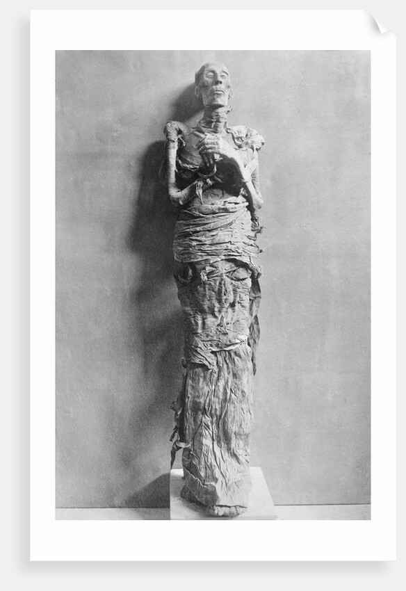 Mummy of Rameses II by Anonymous